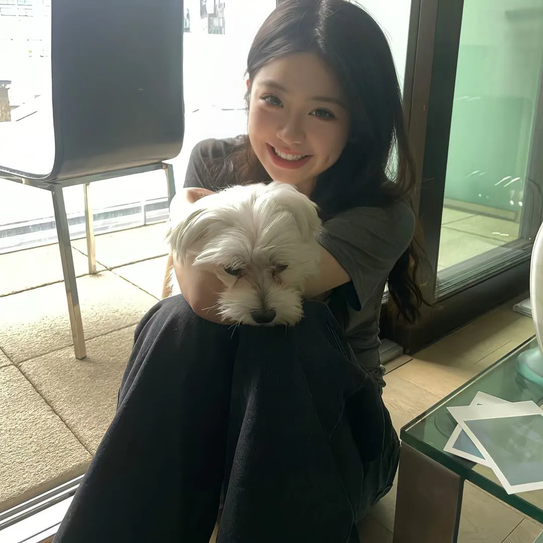特禽鲨龙
